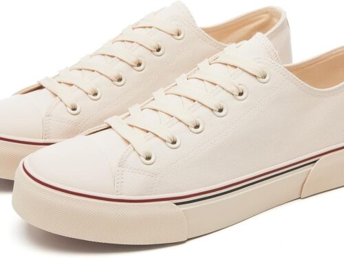 Men Canvas Low top Shoes
